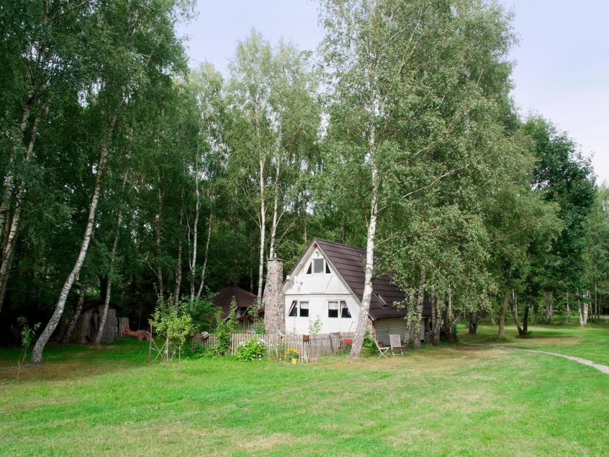 Domek W Brzozach Villa ซาชิโน ภายนอก รูปภาพ